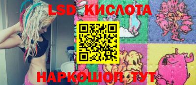 прущие грибы Балашиха