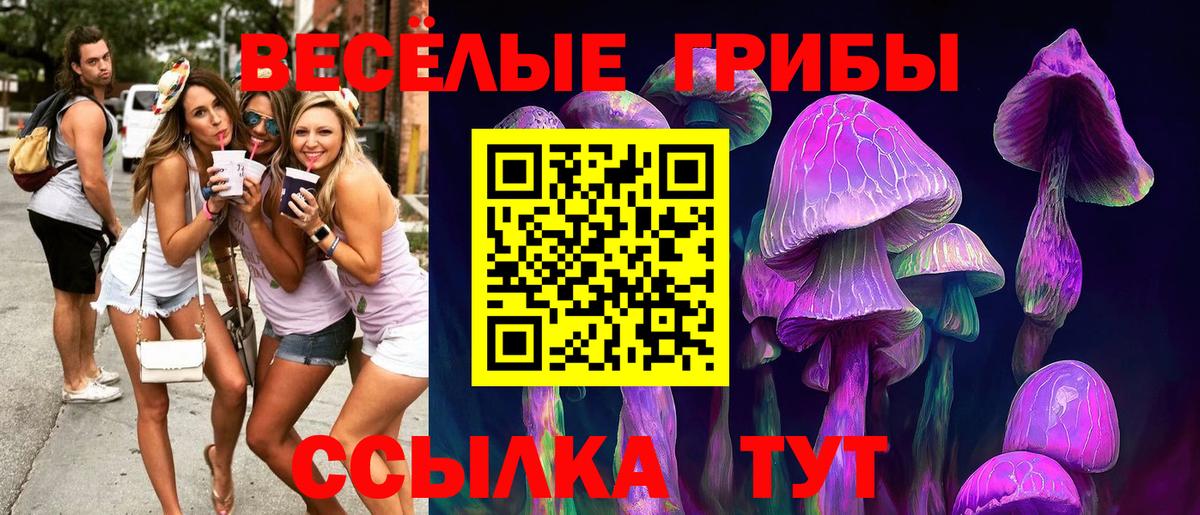 Галлюциногенные грибы прущие грибы Добрянка